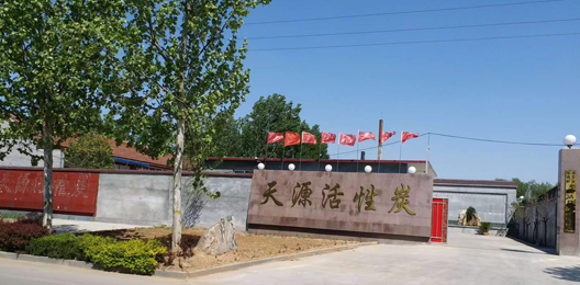 粉末顆?；钚蕴?></div>
        <dl style=